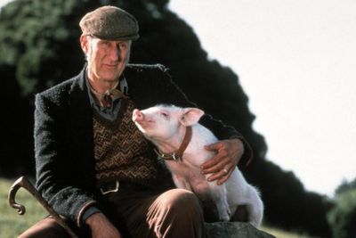 Babe star James Cromwell says he went vegan on second day of filming 1995 movie