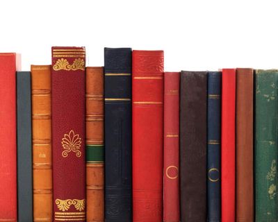 ‘Look how well-read I am!’ How ‘books by the metre’ add the final touch to your home – or your image
