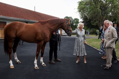 King and Queen feed polo mints to champion racehorse on visit to Newmarket