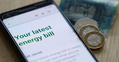 Anger as Scottish energy bills to rise to pay for English nuclear plant