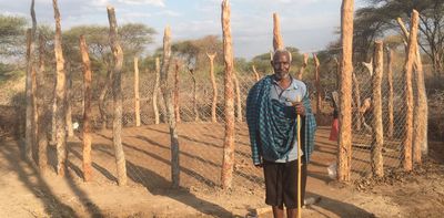 Livestock and lions make uneasy neighbours: how a fence upgrade helped protect domestic and wild animals in Tanzania