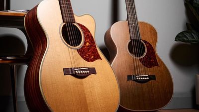 “If you’re out of practice, a rosewood guitar can be guaranteed to throw every imperfection into sharp relief”: How your acoustic’s back and sides affect your guitar tone