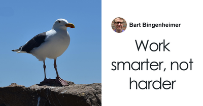 Seagull Clocks 60MPH On Garbage Truck Twice, Researchers Baffled Until They Take A Closer Look