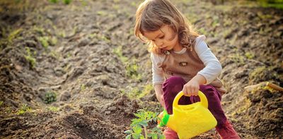 Hosepipe ban survival guide: which garden plants to save and which to sacrifice