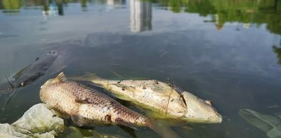 No wonder England’s water needs cleaning up – most sewage discharges aren’t even classified as pollution incidents