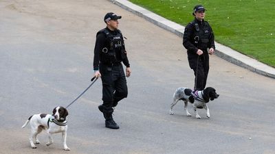 Police dog involved in Queen Elizabeth II’s funeral dies following car crash