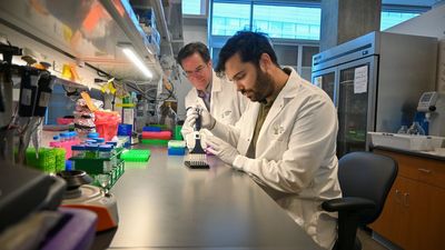 'PAC-MANN' blood test aims to detect pancreatic cancer early