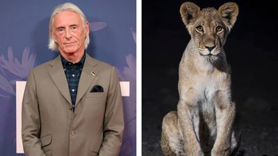"Next thing I know the lion’s gone for me": Paul Weller reveals that he was once set upon by a lion on the way to a gig