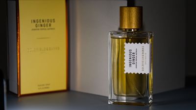I tested Goldfield and Banks Ingenious Ginger – TikTok loves this spicy-sweet scent and so do I