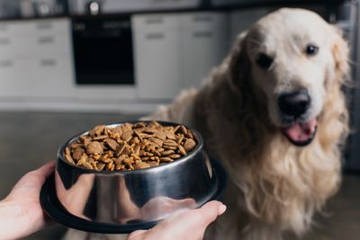 7 Pet Foods That Were Banned in Multiple Countries