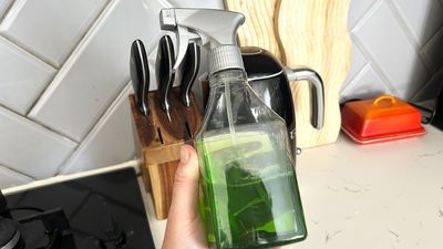 I cleaned my house using only homemade cleaning products for a week — here's what happened