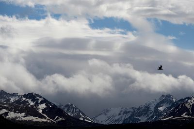 Officials search for bear that attacked a woman hiking on a popular Alaska trail