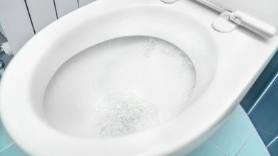 I tried everything to banish limescale from my toilet, but the solution was this cheap household item I already had in my cupboards