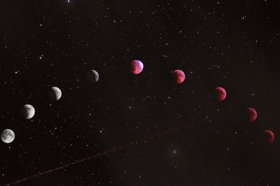 Horoscope: what the July 24 new moon in Leo will mean for your star sign