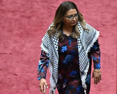 Mehreen Faruqi sanctioned for Gaza sign protest as Greens senator accused of ‘street theatre’