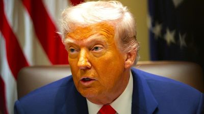 ‘The mysterious Jeffrey’: Trump/Epstein suspicions skyrocket as his 2004 book praises his dear friend Jeffrey
