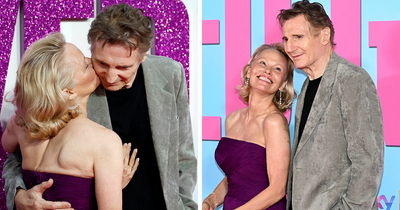 Pamela Anderson And Liam Neeson Couldn’t Keep Their Hands Off Each Other On The Latest Red Carpet