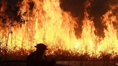 Indonesian police arrest 44 suspected of starting forest fires spreading toxic haze