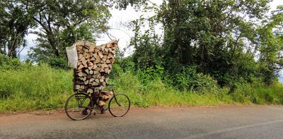Forest loss in Malawi: how having women at the table affected debates and decisions about solutions – research