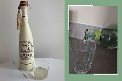 12 best gins, taste-tested for the perfect G&Ts, martinis and more