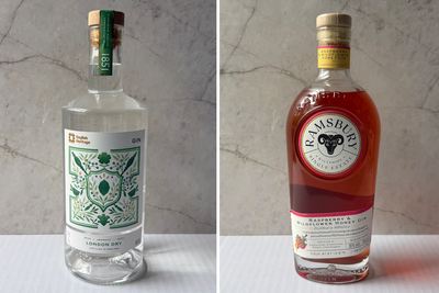 9 best gins, taste-tested for the perfect G&Ts, martinis and more