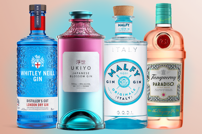 16 best gins, taste-tested for the perfect G&Ts, martinis and more