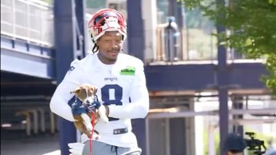 Stefon Diggs's Knee Looked Good as He Chased a Puppy at Training Camp