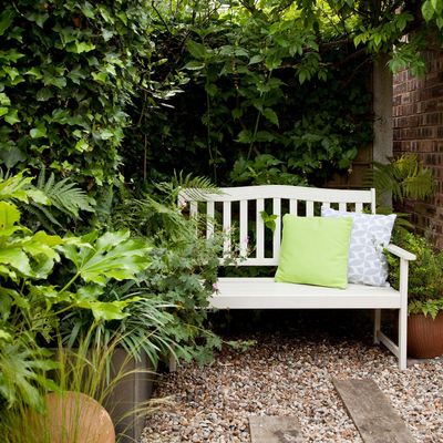 Your outdoor cushions could be the reason wasps are swarming your garden this summer