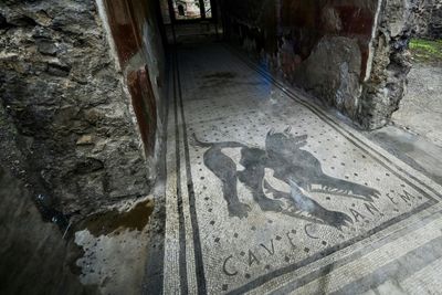 AI Helps Latin Scholars Decipher Ancient Roman Texts