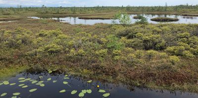 Canadian wetlands are treasures that deserve protection