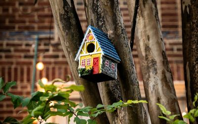Best decorative birdhouses to enhance your garden's charm and support wildlife