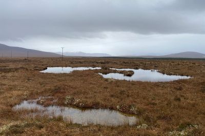 Warmer summers ‘could boost growth rates in European peatlands’ – research finds