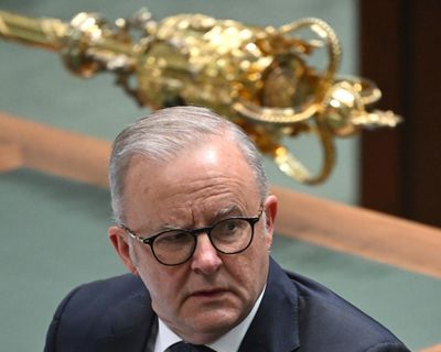 Albanese government worse than Morrison era at producing documents for public scrutiny, report finds