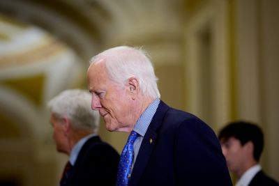 Senate even more afraid of Trump-Epstein fallout than Mike Johnson’s House is: ‘We’ve got enough to do’