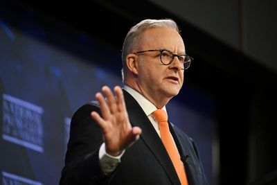 Albanese government plotted to maintain native forest logging in NSW if court battle was lost, documents show