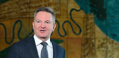 Politics with Michelle Grattan: Chris Bowen on why it’s ‘a little frustrating’ bidding for COP 31