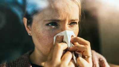 Allergy news, features and articles