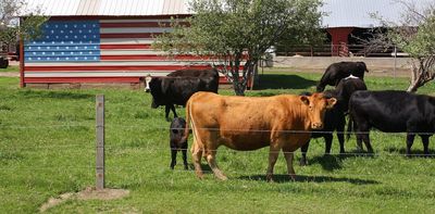Australia says US beef will soon be welcome here again. It’s unlikely we’ll buy much of it