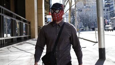 'Pam' swaps bird for Spider-Man as more charges laid