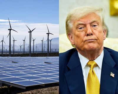 Trump’s war on windmills started in Scotland. Now he’s taking it global