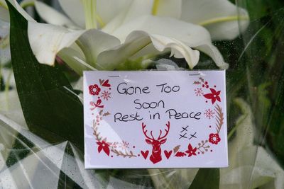 Minehead bus crash victim died from head injuries on way home from school zoo trip, inquest hears