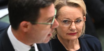 Grattan on Friday: net zero battle has net zero positives for Sussan Ley