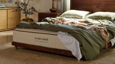 Avocado launches its firmest organic mattress yet — and it’s perfect for supporting tall, heavy, and active people