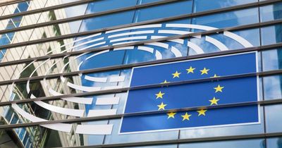 Dozens of MEPs call for emergency EU meeting on sanctioning Israel