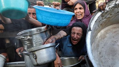 More than 110 aid and human rights groups denounce Gaza 'mass starvation'