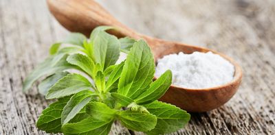 From sweetener to cancer fighter? Fermented stevia shows promise in pancreatic cancer study