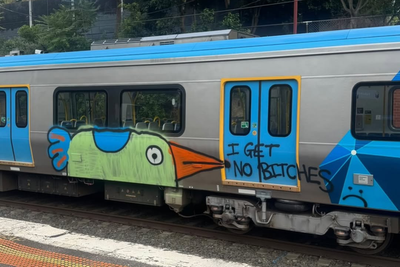 Who Is Pam The Bird? Graffiti Artist Facing 208 Vandalism Charges Appears in Court Dressed as Spider-Man