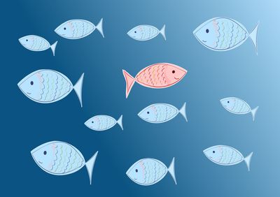 A Contrarian Approach Pays Off for This Small-Cap Fund