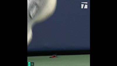 Tennis Ball Boy Squashes Invasive Bug Rescued by Player in Viral Match Moment