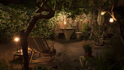 5 native plants for nocturnal pollinators – these North American blooms will attract moths, bats and beetles under the cover of darkness